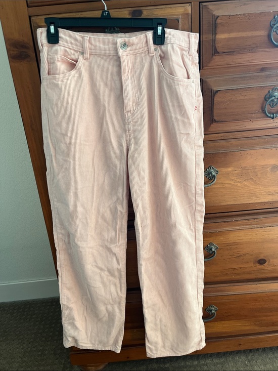 BDG Other - BDG Straight-Leg Men’s Size 32 Waist Corduroy Jeans in Pale Pink NWOT